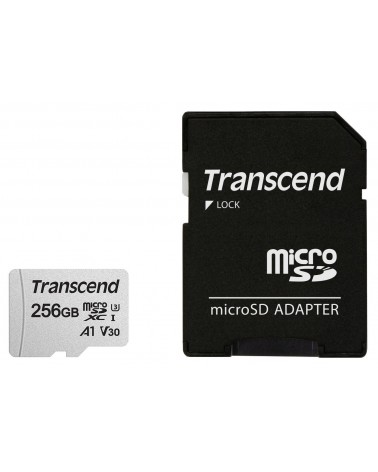 icecat_Transcend 300S memoria flash 256 GB MicroSDXC NAND