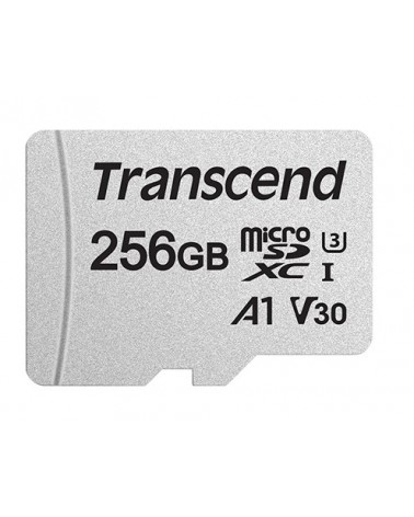 icecat_Transcend 300S memoria flash 256 GB MicroSDXC NAND