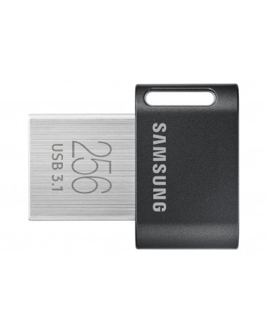 icecat_Samsung MUF-256AB unidad flash USB 256 GB USB tipo A 3.2 Gen 1 (3.1 Gen 1) Gris, Plata