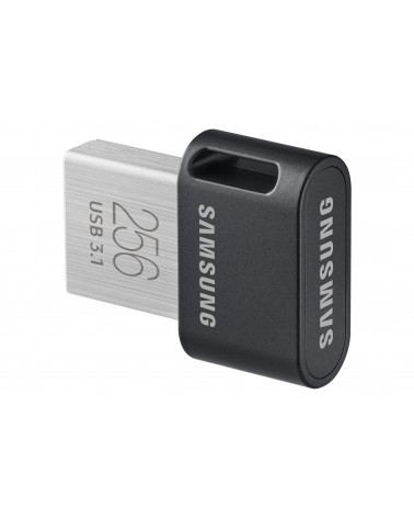 icecat_Samsung MUF-256AB unidad flash USB 256 GB USB tipo A 3.2 Gen 1 (3.1 Gen 1) Gris, Plata