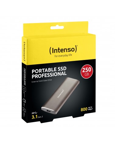 icecat_Intenso 3825440 externí SSD disk 250 GB Hnědá