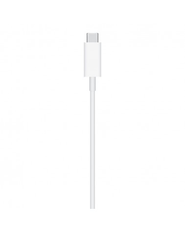 icecat_Apple MagSafe Charger