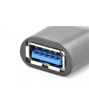 icecat_Digitus AK-300506-000-S changeur de genre de câble USB C USB A Noir