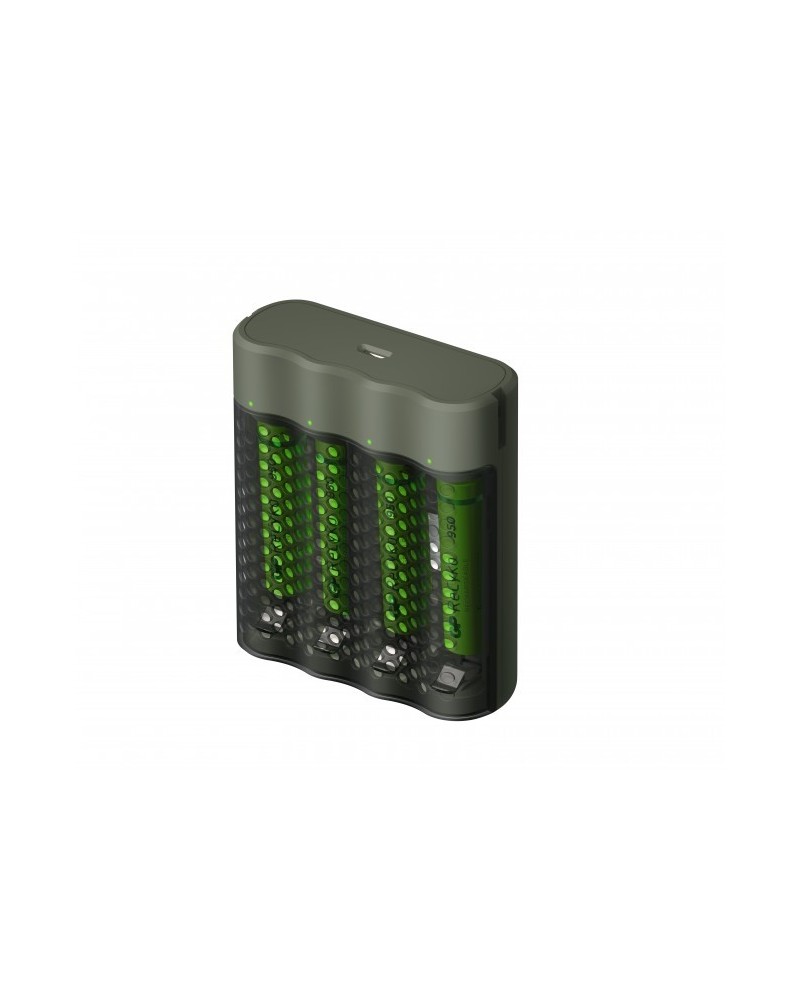 icecat_GP Batteries M451 100AAAHCE-2WB4 Batteria per uso domestico dC
