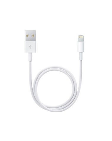 icecat_Apple Lightning   USB USB Kabel 0,5 m USB 2.0 USB A Weiß