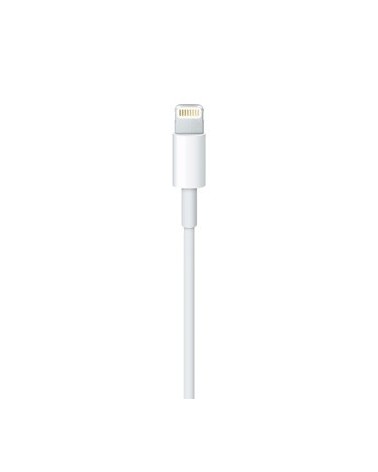 icecat_Apple Cavo da Lightning a USB (0.5 m)
