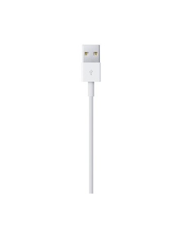 icecat_Apple Lightning   USB USB Kabel 0,5 m USB 2.0 USB A Weiß