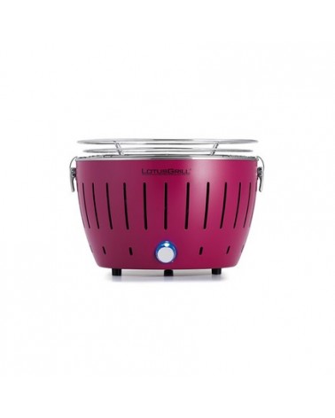 icecat_LotusGrill G280 Grill Charcoal Violet