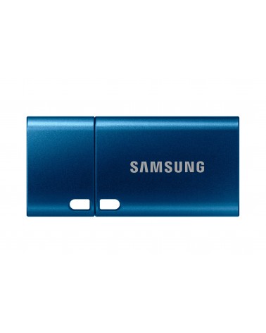 icecat_Samsung MUF-256DA unità flash USB 256 GB USB tipo-C 3.2 Gen 1 (3.1 Gen 1) Blu