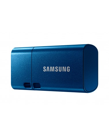 icecat_Samsung MUF-256DA unità flash USB 256 GB USB tipo-C 3.2 Gen 1 (3.1 Gen 1) Blu