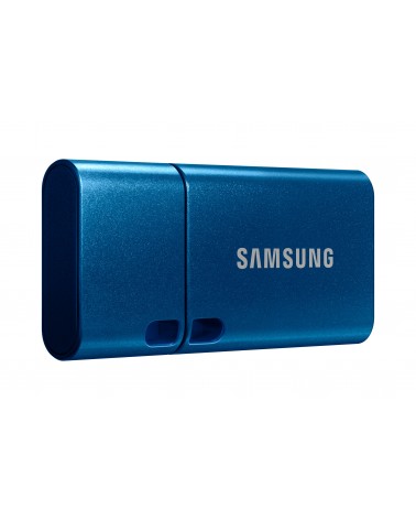 icecat_Samsung MUF-256DA unità flash USB 256 GB USB tipo-C 3.2 Gen 1 (3.1 Gen 1) Blu