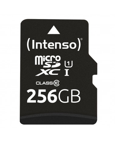 icecat_Intenso microSD 256GB UHS-I Perf CL10| Performance 256 Go Classe 10