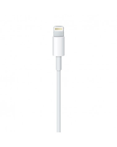 icecat_Apple Lightning to USB Cable (1В m)