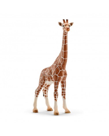 icecat_Schleich Wild Life Girafe Femelle