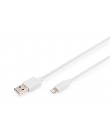 icecat_Digitus Câble de données charge Lightning vers USB A, certifié MFI