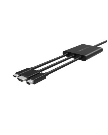 icecat_Belkin B2B169 adaptér k video kabelům 24 m HDMI + USB Mini DisplayPort Černá