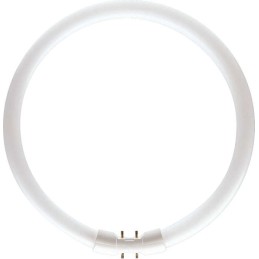 icecat_Philips MASTER TL5 Circular ampoule fluorescente 39,9 W 2GX13 Blanc chaud