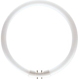 icecat_Philips MASTER TL5 Circular fluorescent bulb 39.9 W 2GX13 Warm white