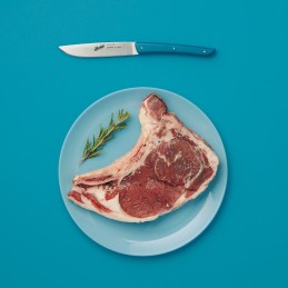 icecat_Berkel KCO4SW11SRPBL kuchyňský nůž Nerezová ocel 4 kusů Steakový nůž