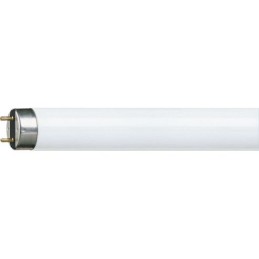 icecat_Philips MASTER TL-D Super 80 ampoule fluorescente 18 W G13