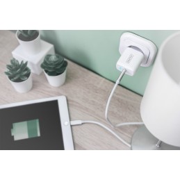 icecat_Digitus Universal Charging Adapter, USB-C™, 20 W