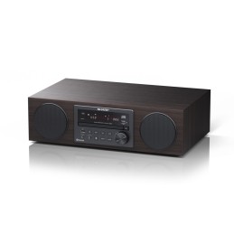 icecat_Sharp ALL-IN-ONE HI-FI Sound System Microsistema audio per la casa 100 W Marrone