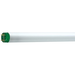 icecat_Philips MASTER TL-D Eco fluorescent bulb 15.7 W G13 Warm white