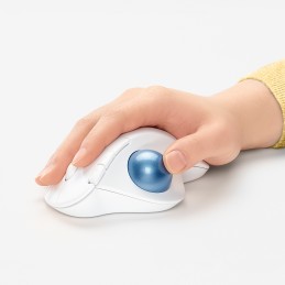 icecat_Logitech Ergo M575 mouse Ufficio Mano destra RF senza fili + Bluetooth Trackball 2000 DPI