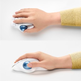 icecat_Logitech Ergo M575 myš Kancelář Pro praváky RF bezdrátové + Bluetooth Trackball 2000 DPI